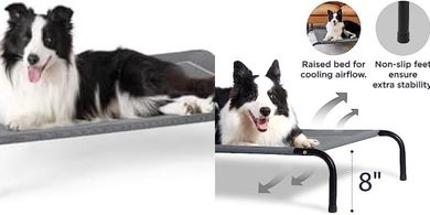 Bedsure Elevated Cooling Dog Cot (49", Grey, Portable)
