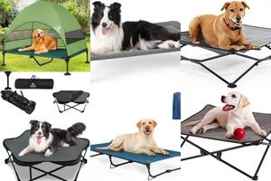 Top 5 Camping Cots for Your Dog